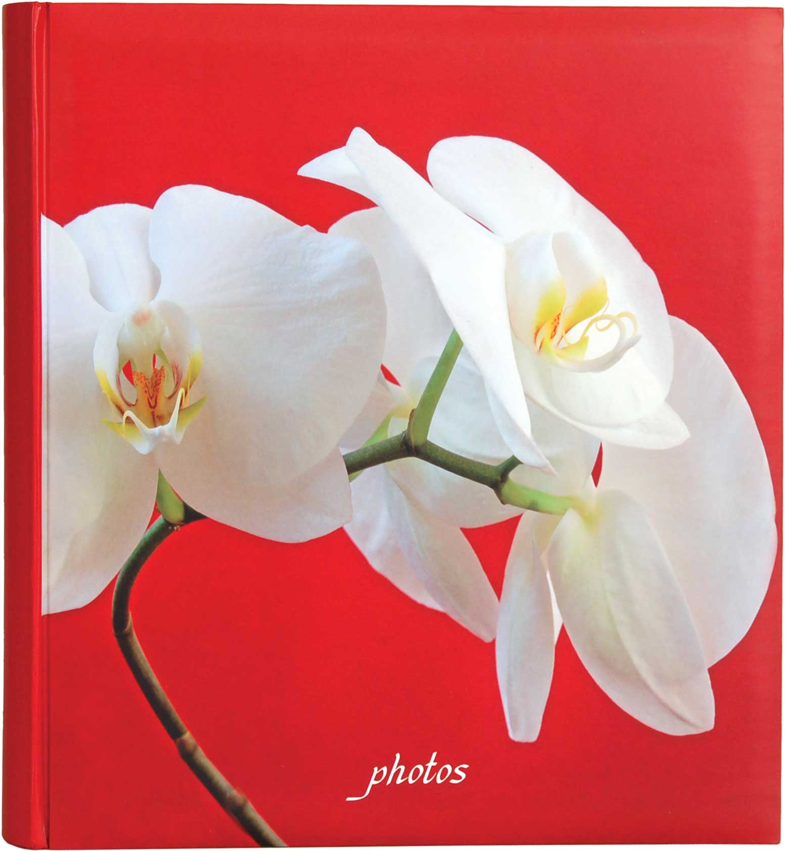 Q671708 Ф/а 100 стр. 29*32 под уголки Botanics