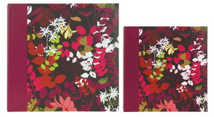 Q520485 Ф/а 104 фото 13*19 Memo Jardin