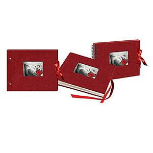 SP21 / W022 Image Art 144 фото (10*15, 15*21), 10 магнитных листов 21*30 (4/8/192)