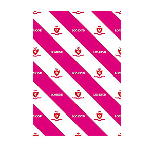 0101007 Lomond Бумага BUSINESS (500 л., 80 г./м., Класс B)(А3) (100/500)