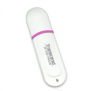 Флэш-диск Transcend 16 Gb JetFlash V33 (10)