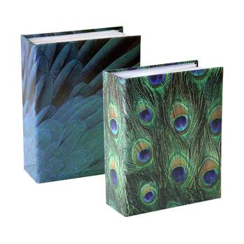 AV46100 FEATHER AND FUR