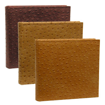 LAB46200 Ostrich team