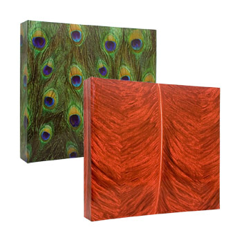 AV46600 FEATHER AND FUR