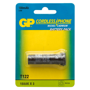 T122 (3.6V 130mAh) (10)