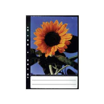 запасной блок: 5 листов - 10 фото 20*25 см