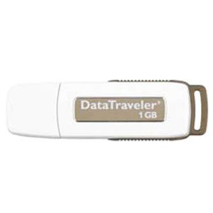 Kingston USB Flash Drive 02 Gb DT I (25)