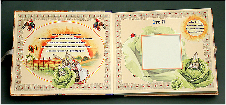 "Самый лучший малыш" (избушка)