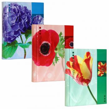 AB46200 Perfect Beauty