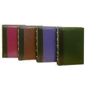 Image Art -100 10x15 (41001BA) bamboo (24/576)