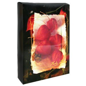 Image Art IA-SP-300 (Still Life) натюрморт/кейс (12/180)