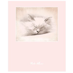 Image Art IA-RB500P Мой котенок (6/180)