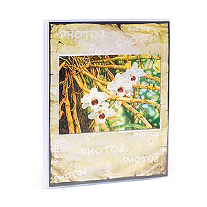 Image Art IA -M 64 Гармония (12/48)