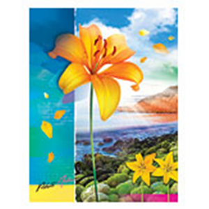 Image Art SA-10-P/23*28 Цветы 2 new (12/576)