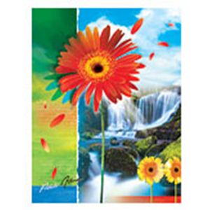 Image Art SA-20-P/23*28 Цветы 2 new (12/480)