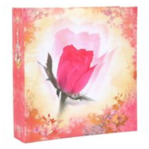 Image Art SA-50RB-P/23*28 Флора new (8/192)