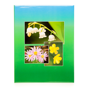 PATA 21024 серия: CJ, 200 фото, 10х15см (12/24/432)