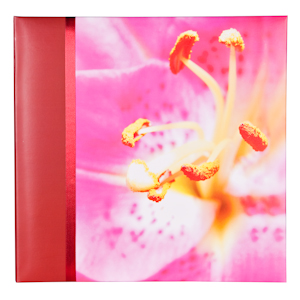 PATA 04001 серия: Lily, 20 листов, 28х31см (6/12/108)