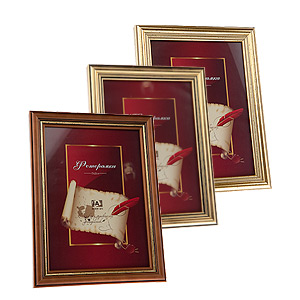 Image Art 5019-6 classic 15x21 (12/36/864)