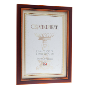 Image Art 6008-8 certificate 21x30 (12/24/480)