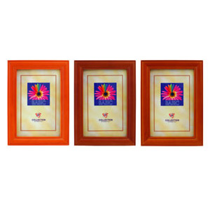 Image Art 2009-8 basic 20x30 Ottawa (12/24/720)