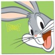 WB Looney Tunes LT-300 10x15 (BBM46300/2) Bugs superstar (12)