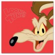 WB Looney Tunes LT-300 10x15 (BBM46300/2) Coyote (12)