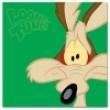 WB Looney Tunes LT-300 10x15 (BBM46300/2) Coyote (12)