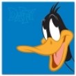 WB Looney Tunes LT-300 10x15 (BBM46300/2) Daffy (12/240)