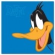 WB Looney Tunes LT-200 10x15 (BBM46200/2) Daffy (12)