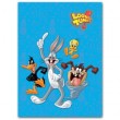WB Looney Tunes LT-SA-20P/23*28 Golden collection (12/480)