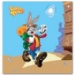 WB Looney Tunes LT-SA-50P/23*28 Travel (8)