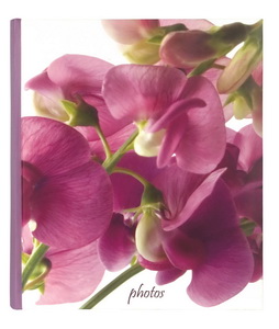       Innova Q500463 / 144  13*19 Book Bound Memo Botanics