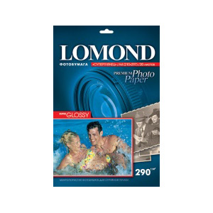      LOMOND 1108100 Lomond  4 20 290 /2  Bright Super Glossy () (30)