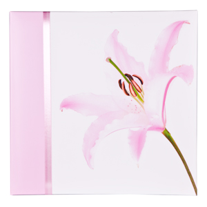      Pata PATA 04001 : Pink Lily, 20 , 2831 (6/12)