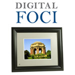 Image Moments IMT-081:    Digital Foci