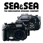 DX-1G:    Sea&Sea
