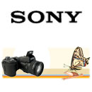 Цифровые камеры  Sony